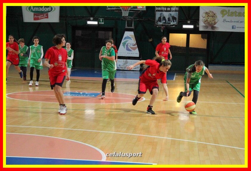 170107 basket 190_tn.jpg